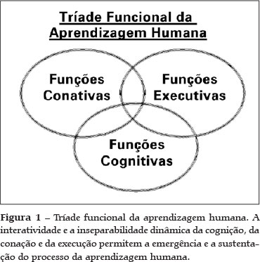 O Sistema Nervoso Humano: Um Enfoque Psico-Funcional