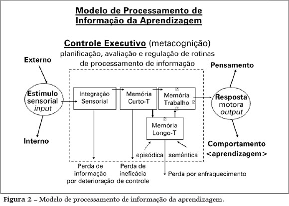 PSICOPEDAGOGIA: UMA PRATICA, DIFERENTES ESTILOS - 3ªED.(2006