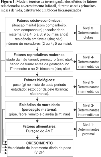 Modelo teórico hierarquizado dos possíveis fatores associados à