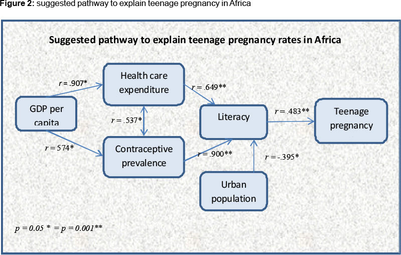 A Policy Pathway To Reducing Teenage Pregnancy In Africa